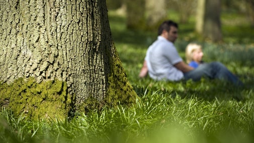 A couple lying under a tree at Winkworth Arboretum